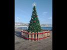 1B392A8E-4C41-4BA0-A307-F4E2053D155D.png