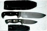Busse.jpg