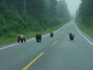 AlaskaStreetGang1.jpg