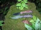 OD15Busse_24pct.JPG
