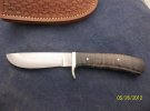 52612blackmapleleft.jpg