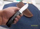 52612blackmapleinhand.jpg