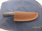 52612blackmaplesheath.jpg 52612blackmaplesheath.jpg