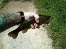 Photo0114.jpg