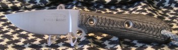 Busse GW sm L.jpg