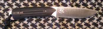 Talon sm L.jpg