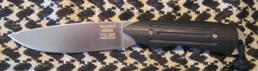 Talon sm L2.jpg