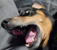 20201224_133509.jpg