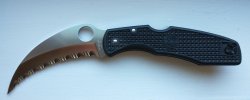 Spyderhawk 50819.jpg