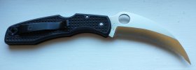 Spyderhawk 54645.jpg