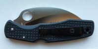 Spyderhawk 59551.jpg