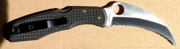 Spyderhawk 48498.jpg