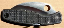 Spyderhawk 51156.jpg