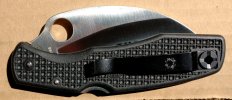 Spyderhawk 12952.jpg