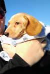 IMG_20211225_155409112_MP~3.jpg