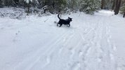 SNOW4.jpg