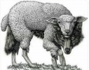 01B11EE9-958A-4FCC-B4E3-7D576A643A6A.png
