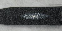 976.Ivory.Stingray.071418 002.JPG