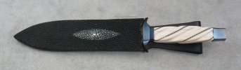 976.Ivory.Stingray.071418 001.JPG 976.Ivory.Stingray.071418 001.JPG