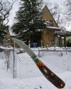 SBJ.backyard&house.jpg
