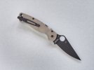 Spydie 3.jpg
