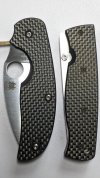 Sage v Enzo-2-720Wide.jpg