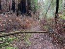 E2F28055-56B0-44B1-997C-B1B857197D26.jpeg