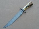 McIntyre walrus bowie1.jpg
