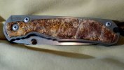 Spalted.jpg