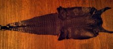 IMG_20120409_195431-1.jpg