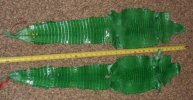 IMG_20120409_231024.jpg