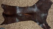 IMG_20120422_232555.jpg