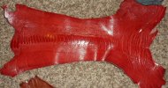 IMG_20120422_232319.jpg