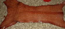 IMG_20120422_232235.jpg