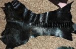 IMG_20120422_232513.jpg