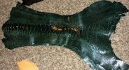 IMG_20120422_232300.jpg