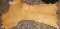 IMG_20120422_232219.jpg