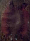 IMG_20120331_211312-1.jpg