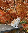 IMG_1210.jpeg