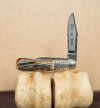 cripple creek bulldog giraffe bone-10.jpg