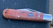 RedTroutMaple5.JPG
