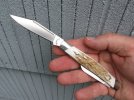 Bladeforum Buck.jpg