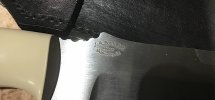 9D224563-A76E-419C-92D1-297C44C114F8.jpeg