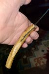 IMG_15012022_204101.jpg