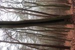 20220116131228_IMG_1675_compress54.jpg