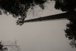 20220116121740_IMG_1637_compress19.jpg