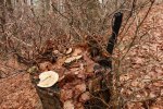 20220116123101_IMG_1656_compress6.jpg