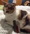 IMG_20220116_203254446~2.jpg