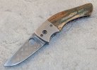 Anso Fancy Rebel a.jpg Anso Fancy Rebel a.jpg