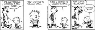 calvin.jpg